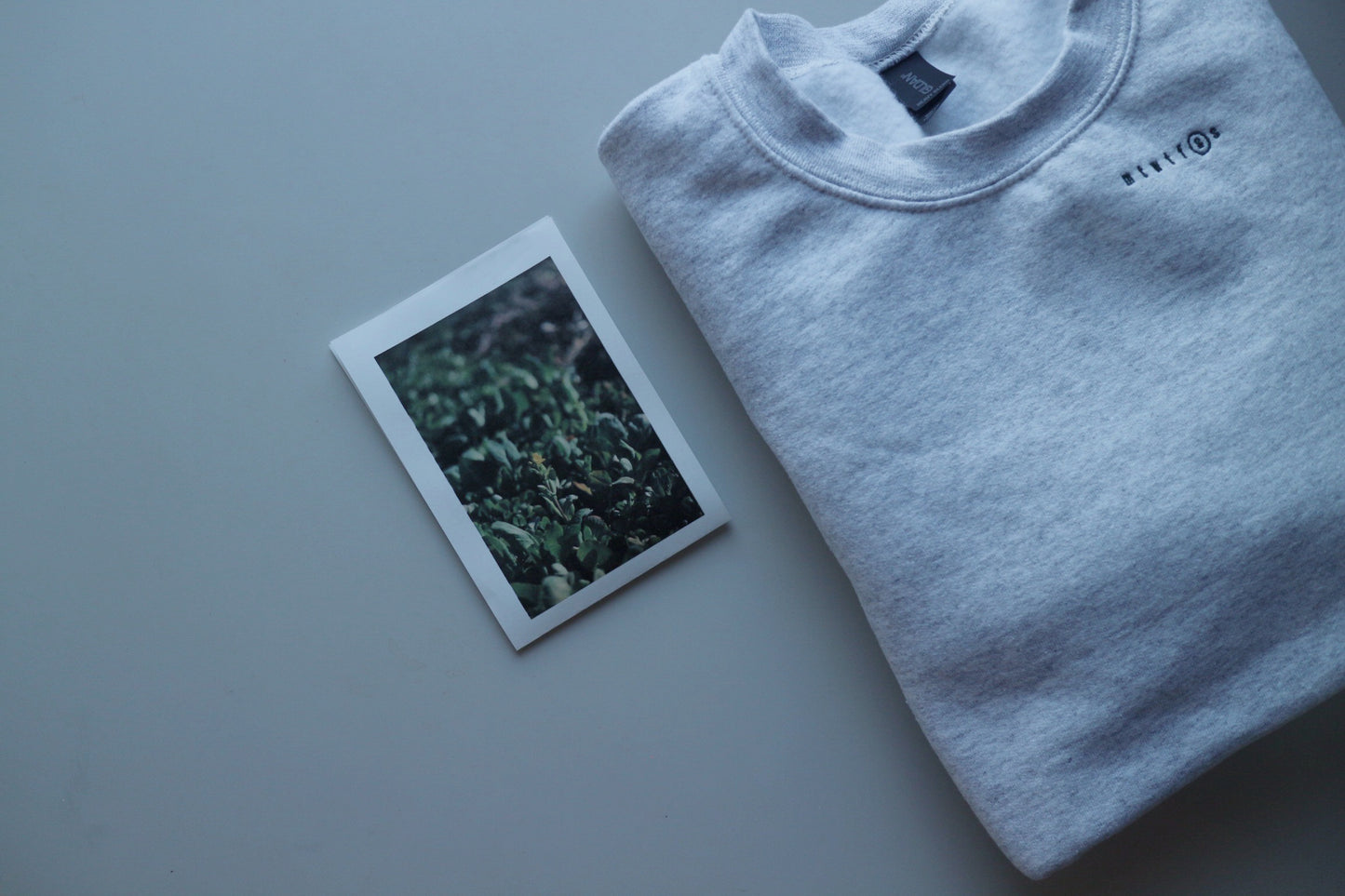 sweat _ 白菜の花